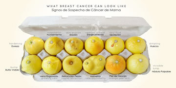 Funte Imagen: World Wide Breast Cancer